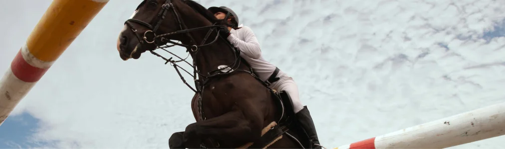 Un cavalier vêtu de blanc fait sauter un cheval noir par-dessus une haie colorée lors d'une compétition équestre. La foule enthousiaste et le ciel nuageux créent une atmosphère intense.