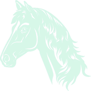 Illustration stylisée verte représentant une tête de cheval sur fond noir, mettant en valeur une crinière fluide et une expression calme et majestueuse, soulignant l'élégance et la grâce.